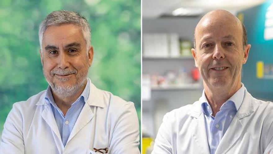 El Cima y la CUN, seleccionados para desarrollar nuevas inmunoterapias contra el cáncer
