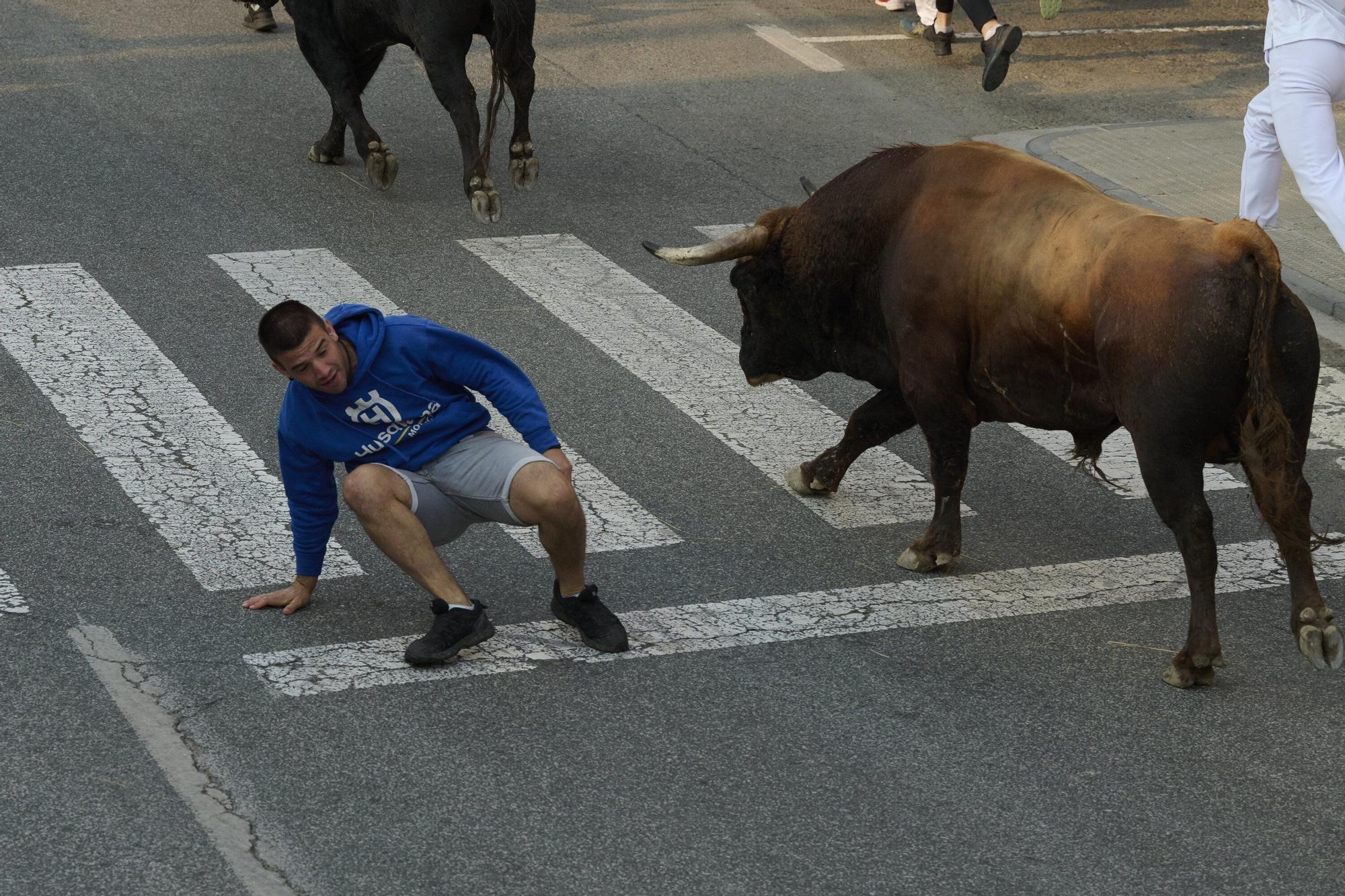 Fotos del sexto encierro de las fiestas de Tafalla 2025