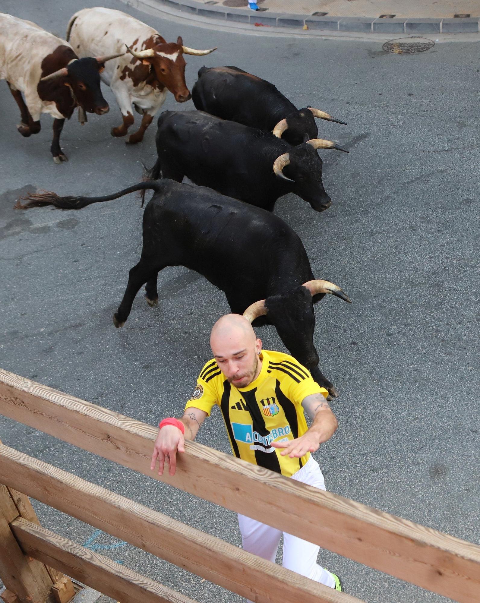 Fotos del cuarto encierro de fiestas de Tafalla 2025