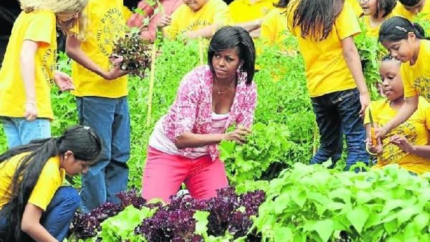 La costilla de Michelle Obama