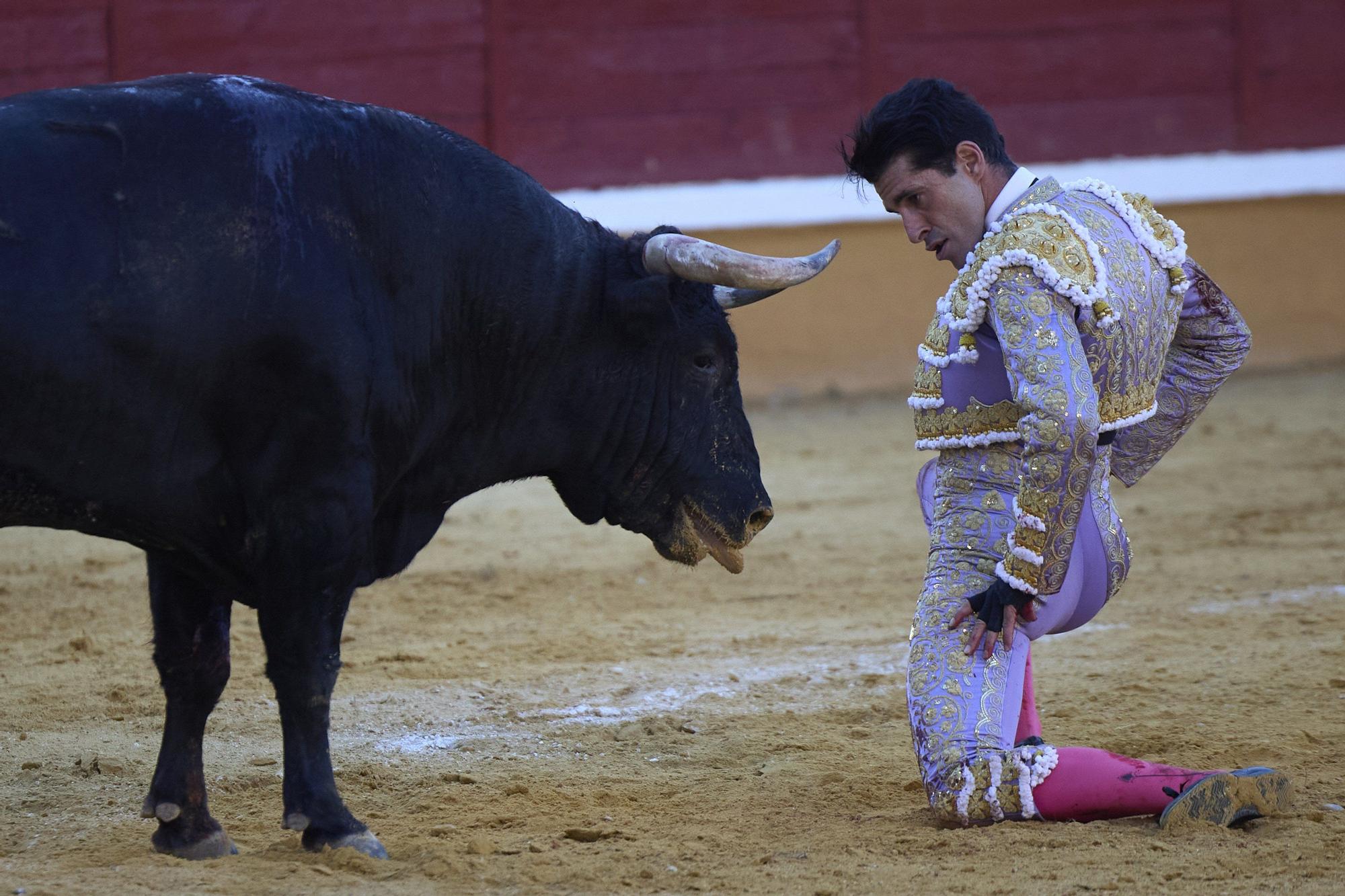 Fotos de la corrida de toros en Tudela con toros de Garzón Valdenebro