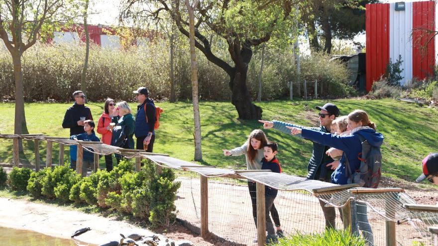 Un total de 175 niños y niñas de Arguedas plantan árboles en Sendaviva