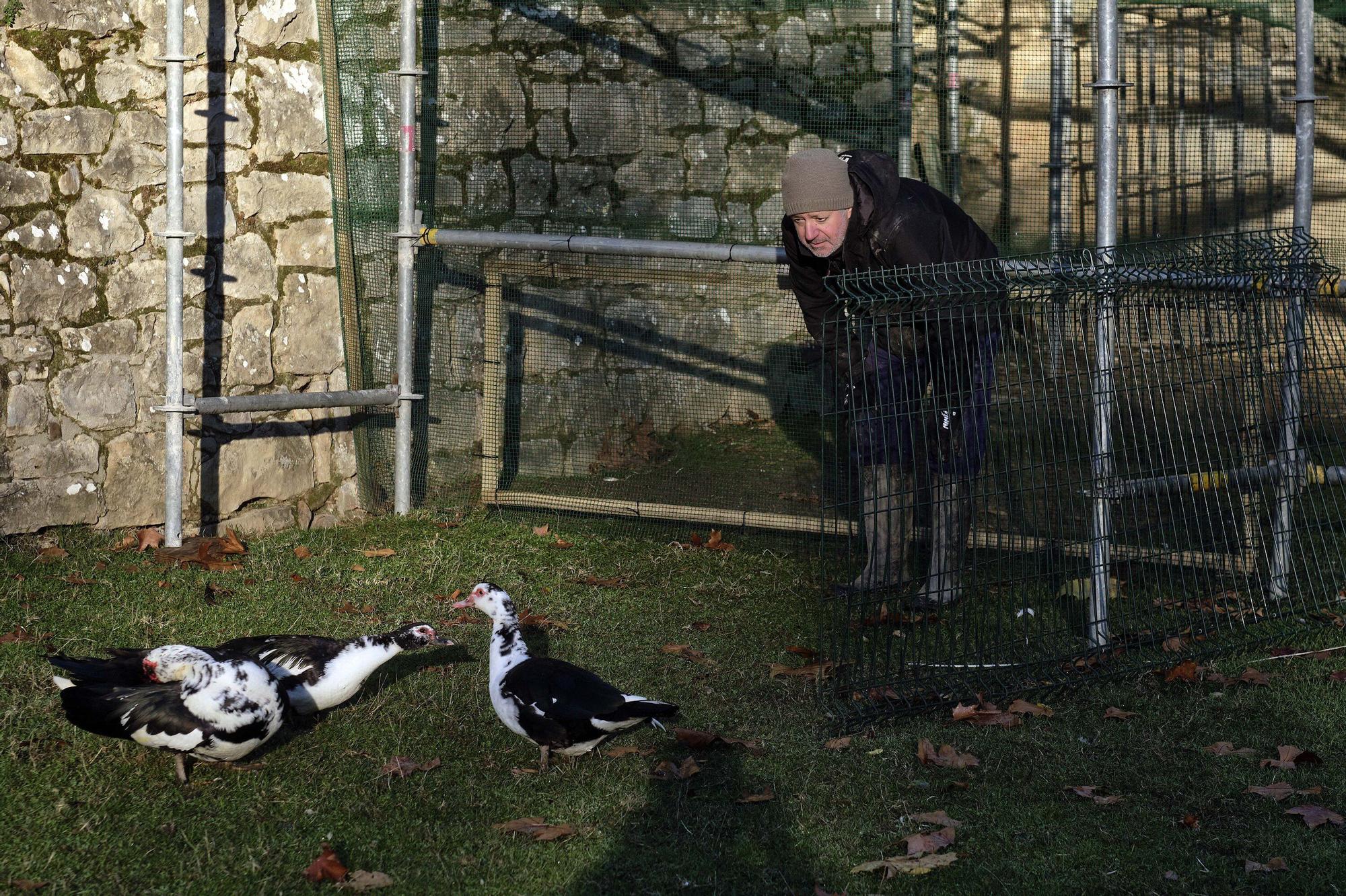 Las medidas contra la gripe aviar en la Taconera de Pamplona