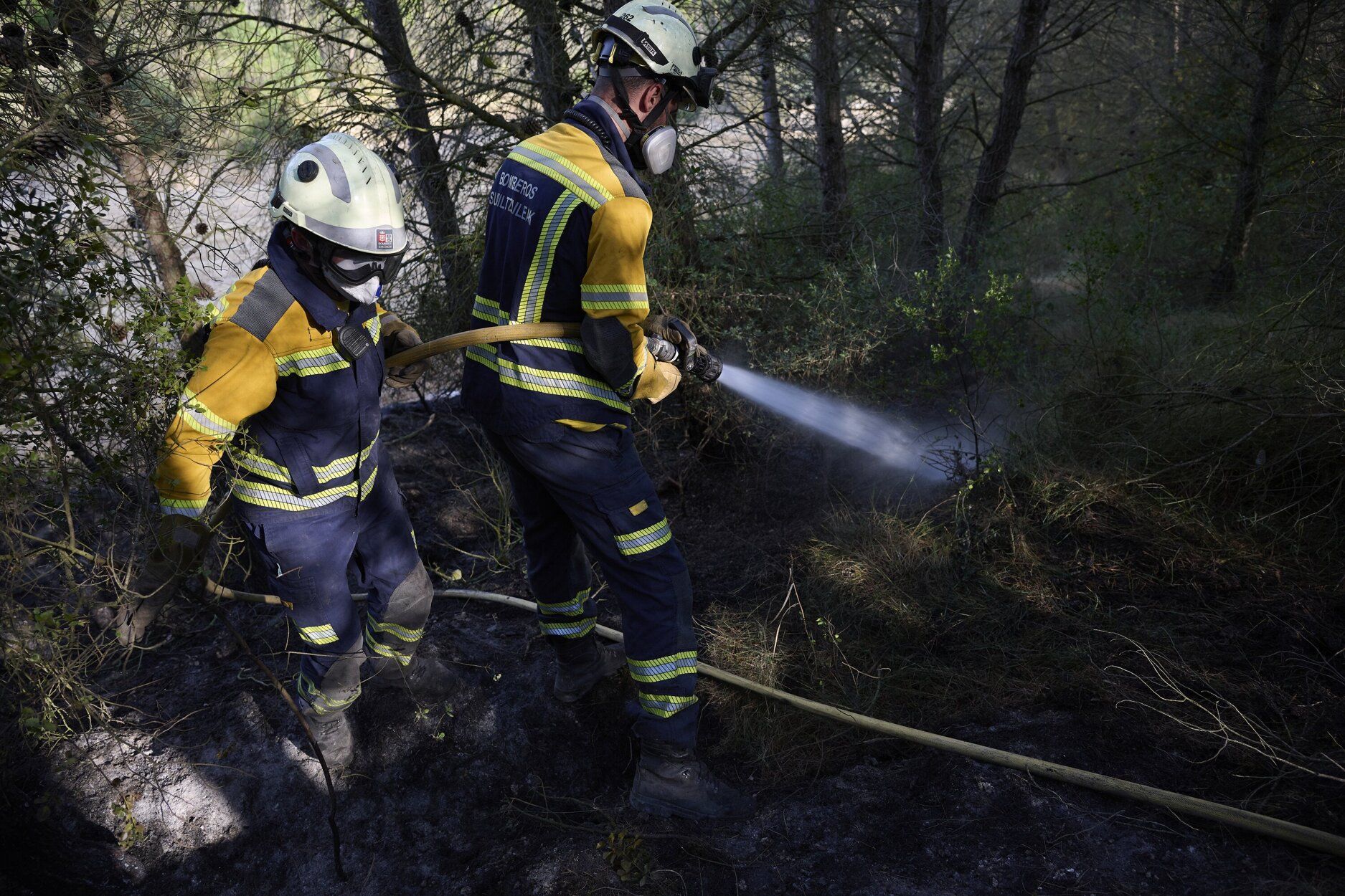 Imágenes de la zona afectada por el incendio en Enériz