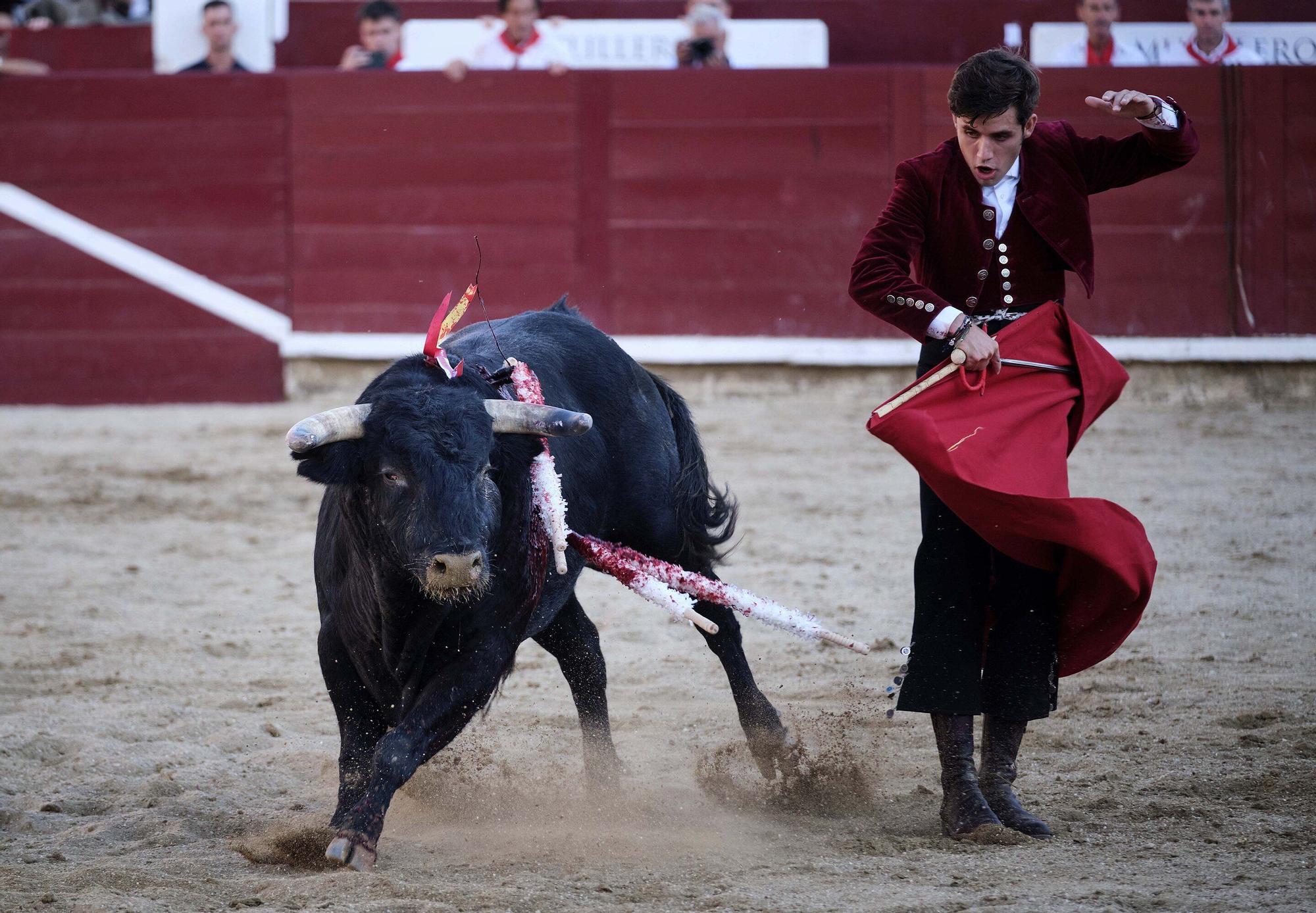 Fotos de la 'encerrona' de Guillermo Hermoso de Mendoza en la plaza de toros de Estella - Lizarra