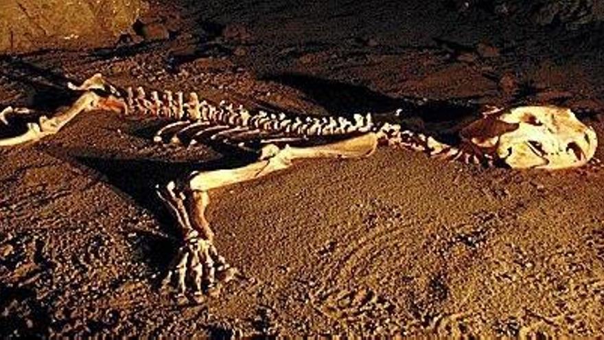 Interior de la cueva de Arrikrutz en la que fueron descubiertos los restos del león cavernario.