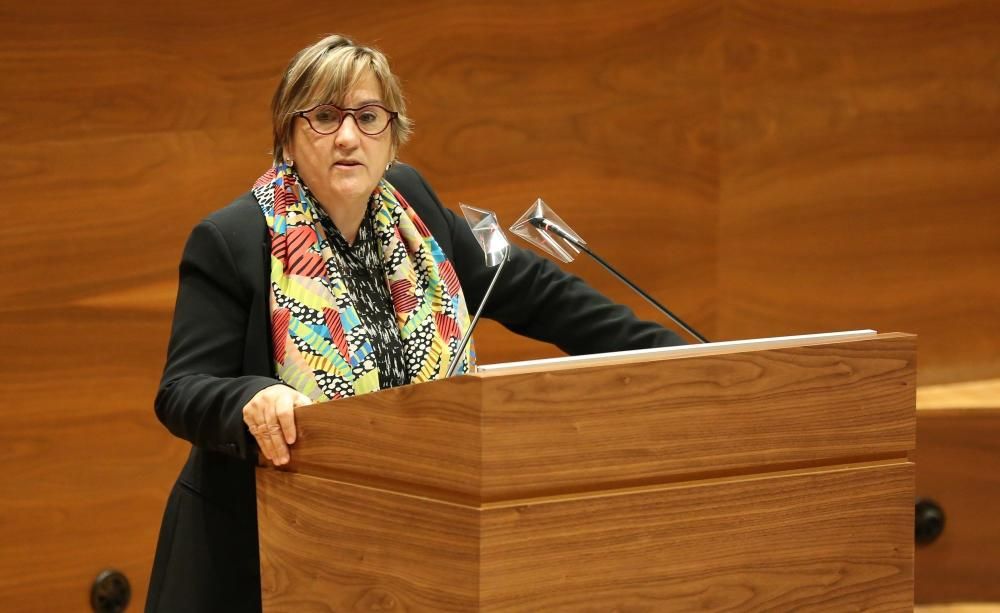 Pleno del Parlamento de Navarra sobre el Covid-19