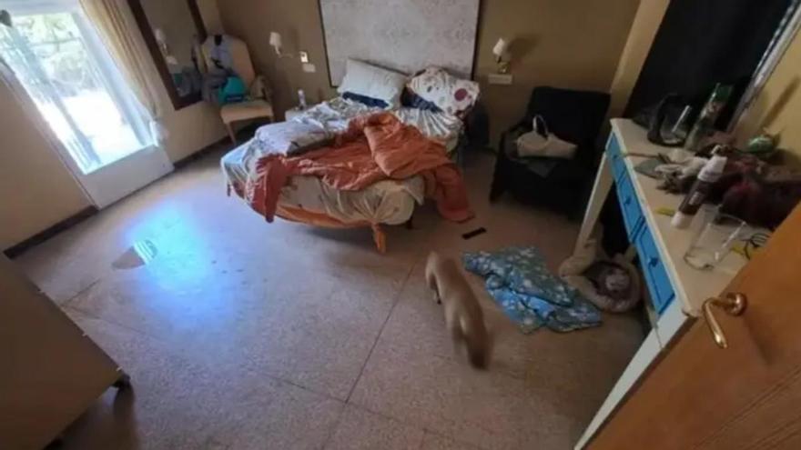 La muerte de un joven con parálisis cerebral destapa en Elche una casa que atendía ilegalmente a dependientes