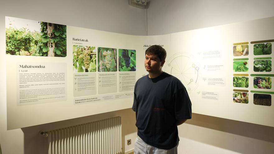 Bizkaiko Txakolina brinda al público catas, conciertos y visitas a la nueva exposición de su sede