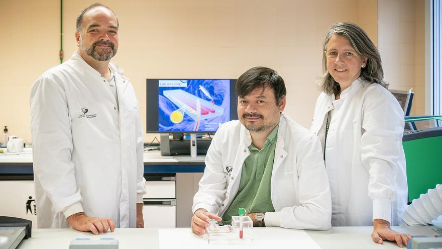 Investigadores del campus de Álava de la EHU diseñan un dispositivo que permite obtener plasma rico en plaquetas de alta calidad