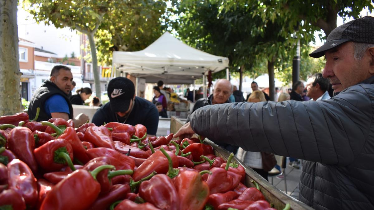 Pimientos del Piquillo de Lodosa, a la venta durante la feria del año pasado