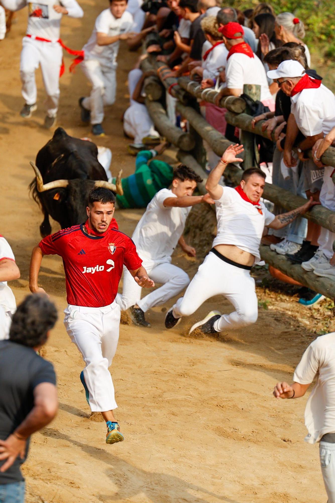 Fotos del segundo encierro del Pilón de Falces 2025