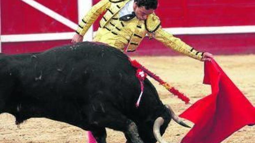 Buen natural de Oliva Soto el año pasado.