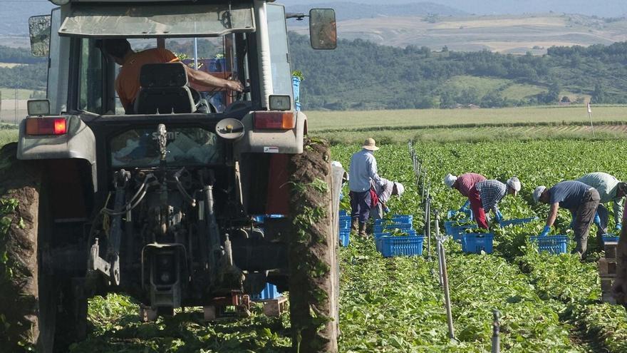 Álava aprueba las ayudas para la modernización de explotaciones agrarias con más de 3 millones de euros