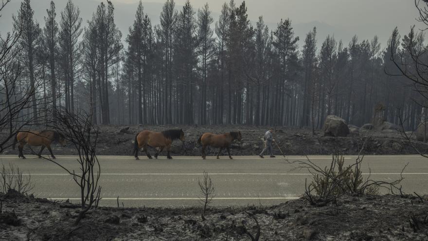 El campo teme pérdidas importantes por las olas de calor