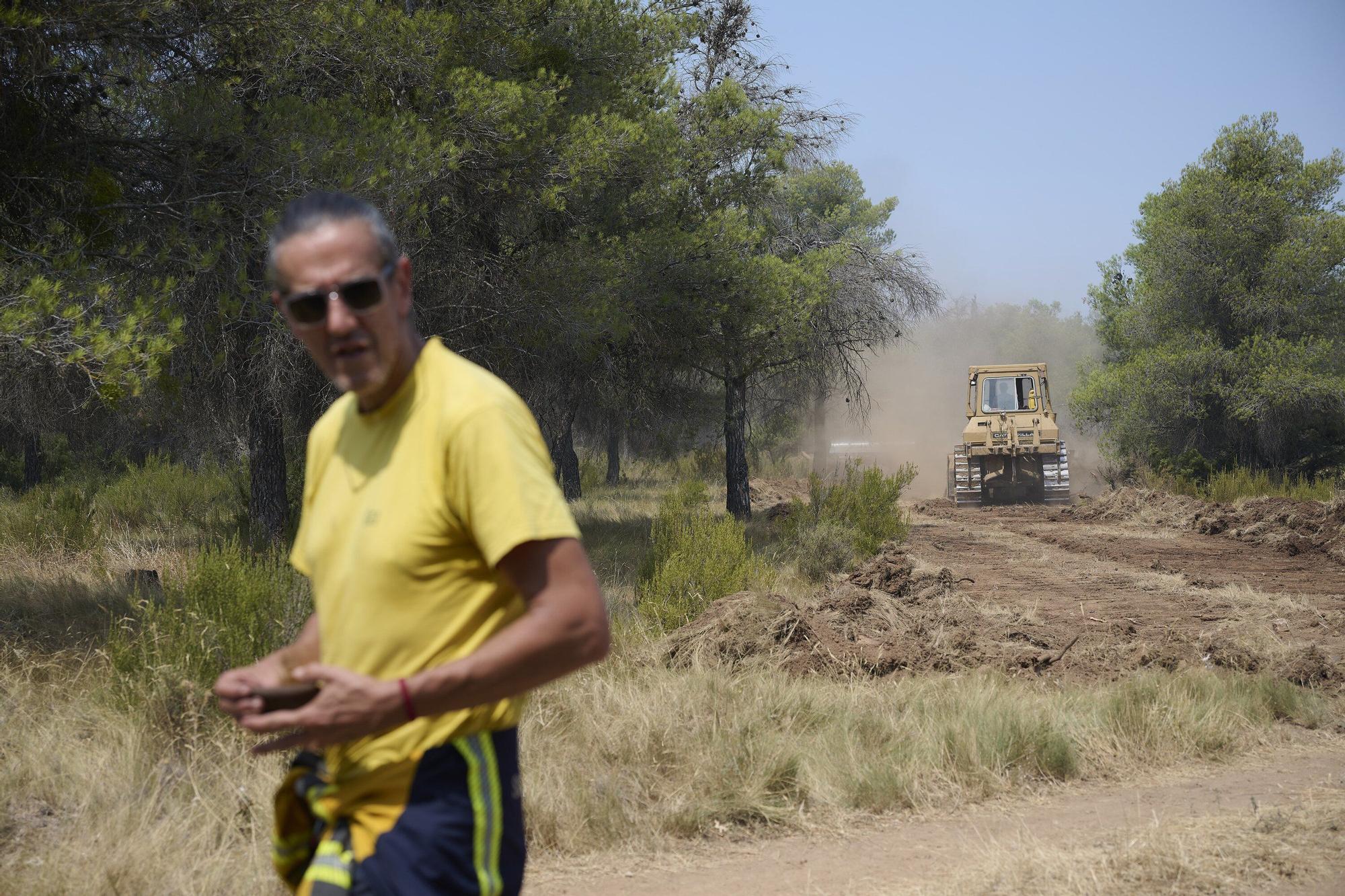 Fotos del incendio forestal cerca de Carcastillo