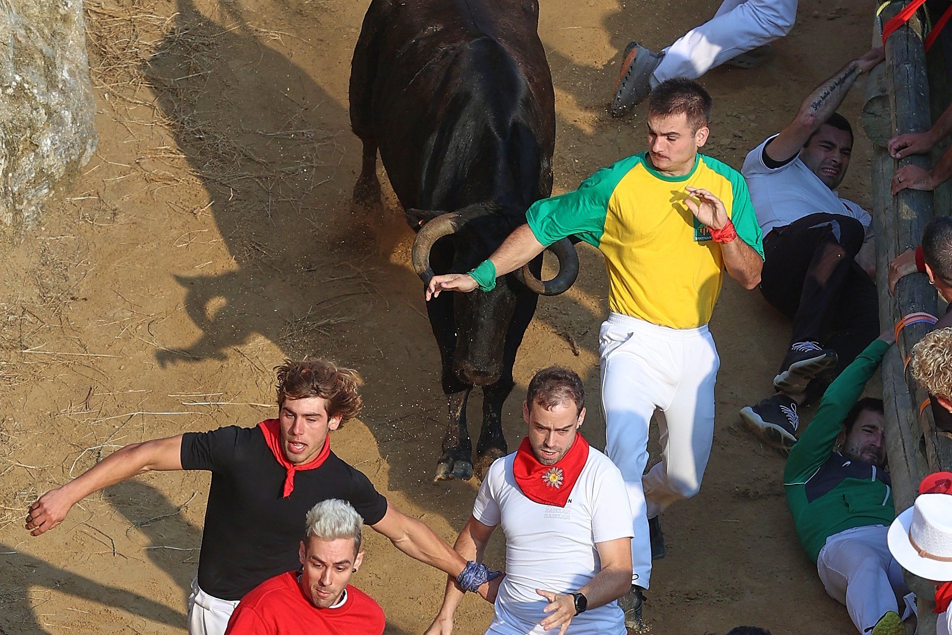 Fotos del último encierro del Pilón de Falces 2025