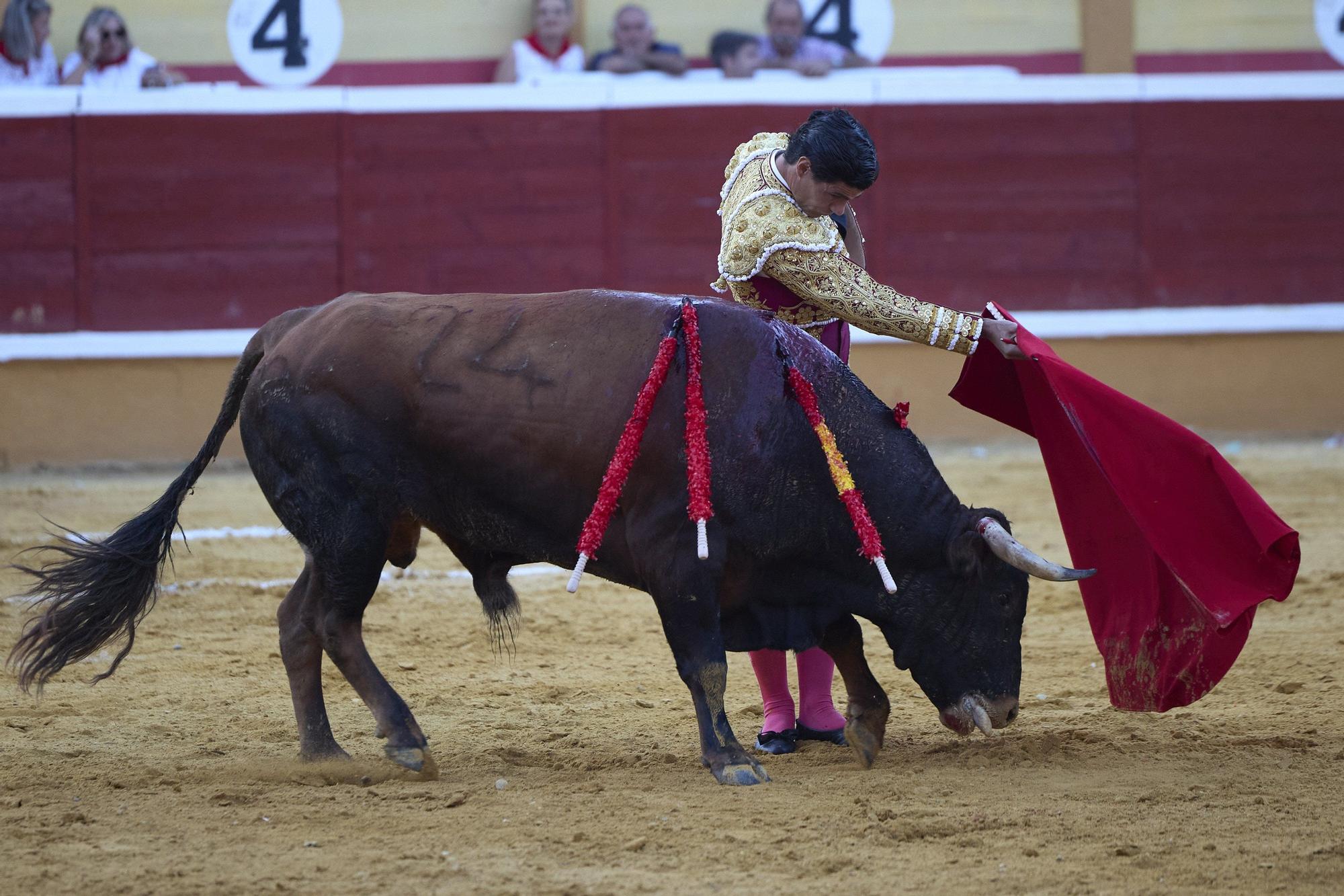 Fotos de la corrida de toros en Tudela con toros de Garzón Valdenebro