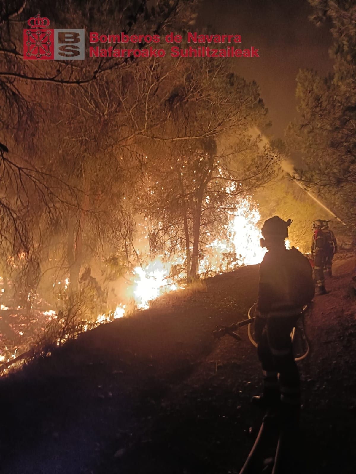 Fotos del incendio forestal cerca de Carcastillo