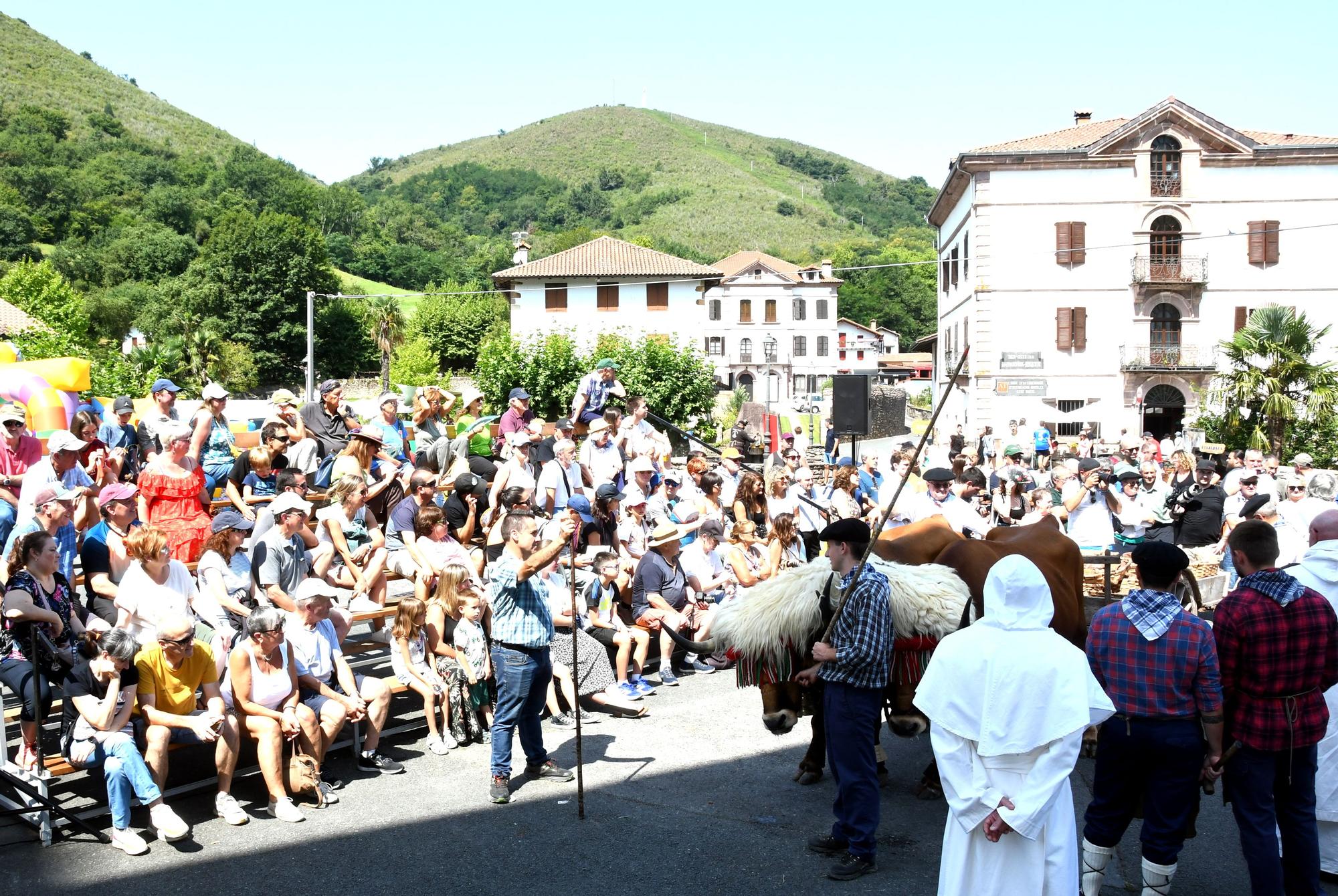 Urdax-Urdazubi celebra la 17ª edición del Día del Hierro