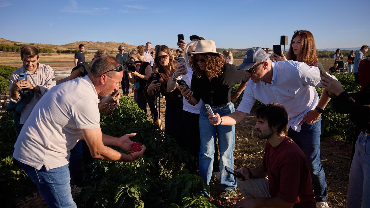 Creadores de contenido para redes sociales han conocido a pie de campo las cualidades del piquillo de Lodosa