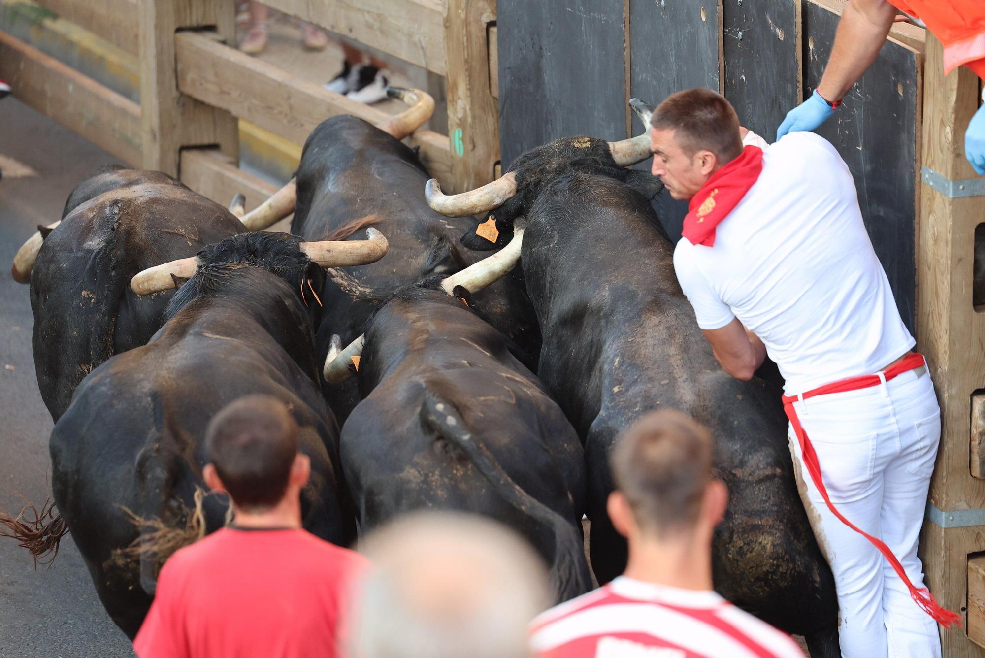 Fotos del tercer encierro de las fiestas de Tudela 2025