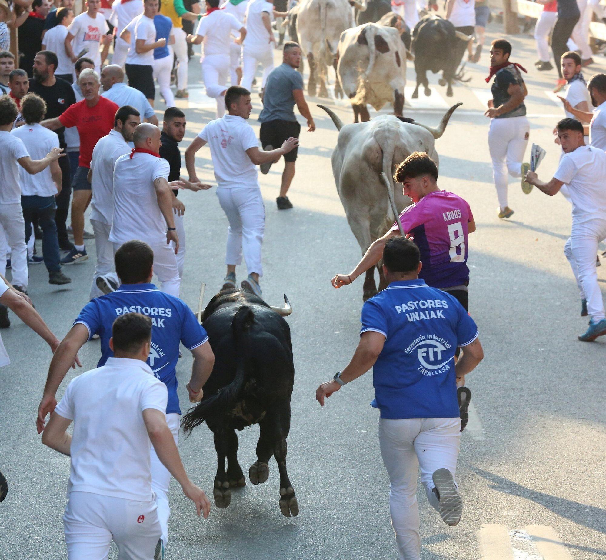 Fotos del primer encierro de fiestas de Tafalla