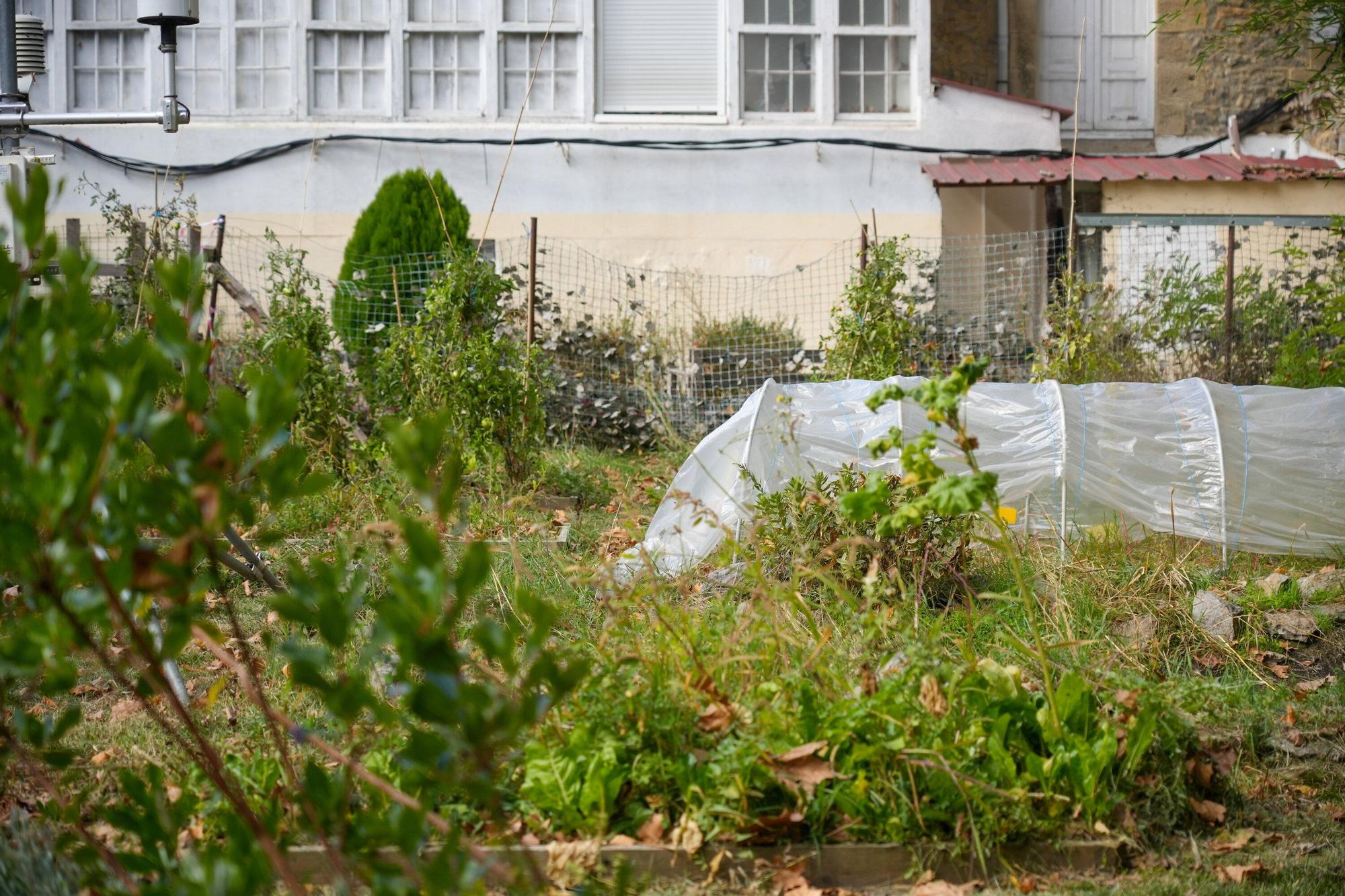 En imágenes: La UPV/EHU impulsa un curso de agricultura ecológica en el Campus de Álava