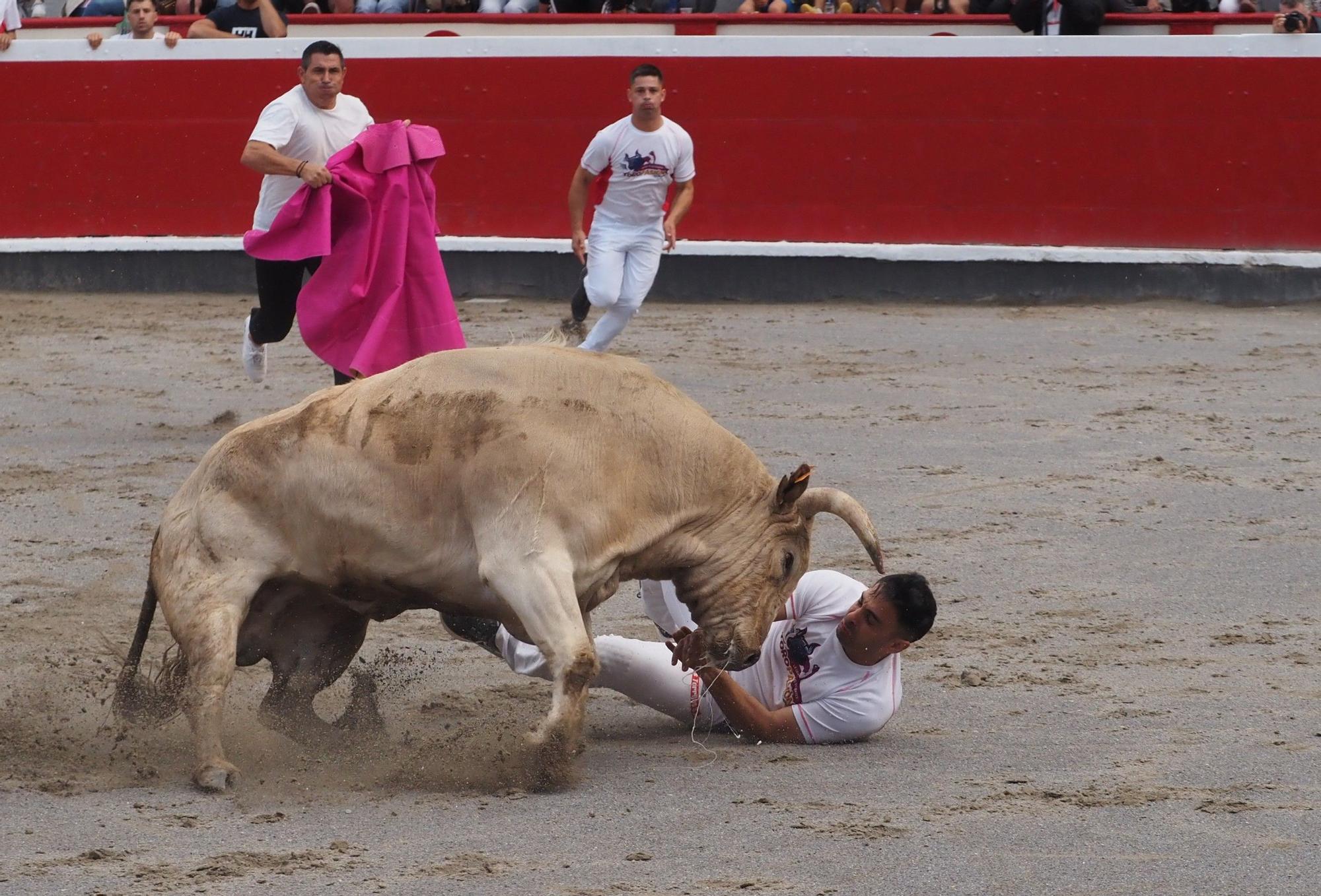 El extremeño Israel Pérez 'Ruso' se estrena con victoria en el Campeonato de Recortadores de Azpeitia