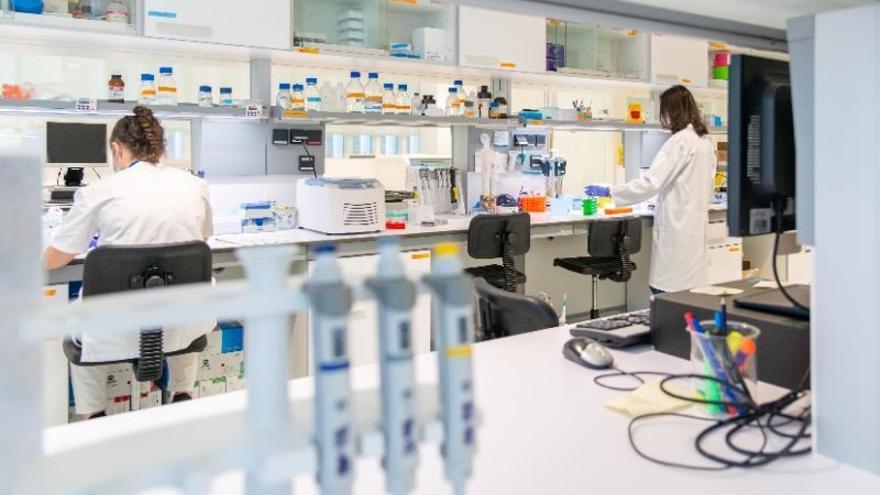 El Gobierno Vasco destina 21 millones a la formación y especialización de los investigadores en Euskadi