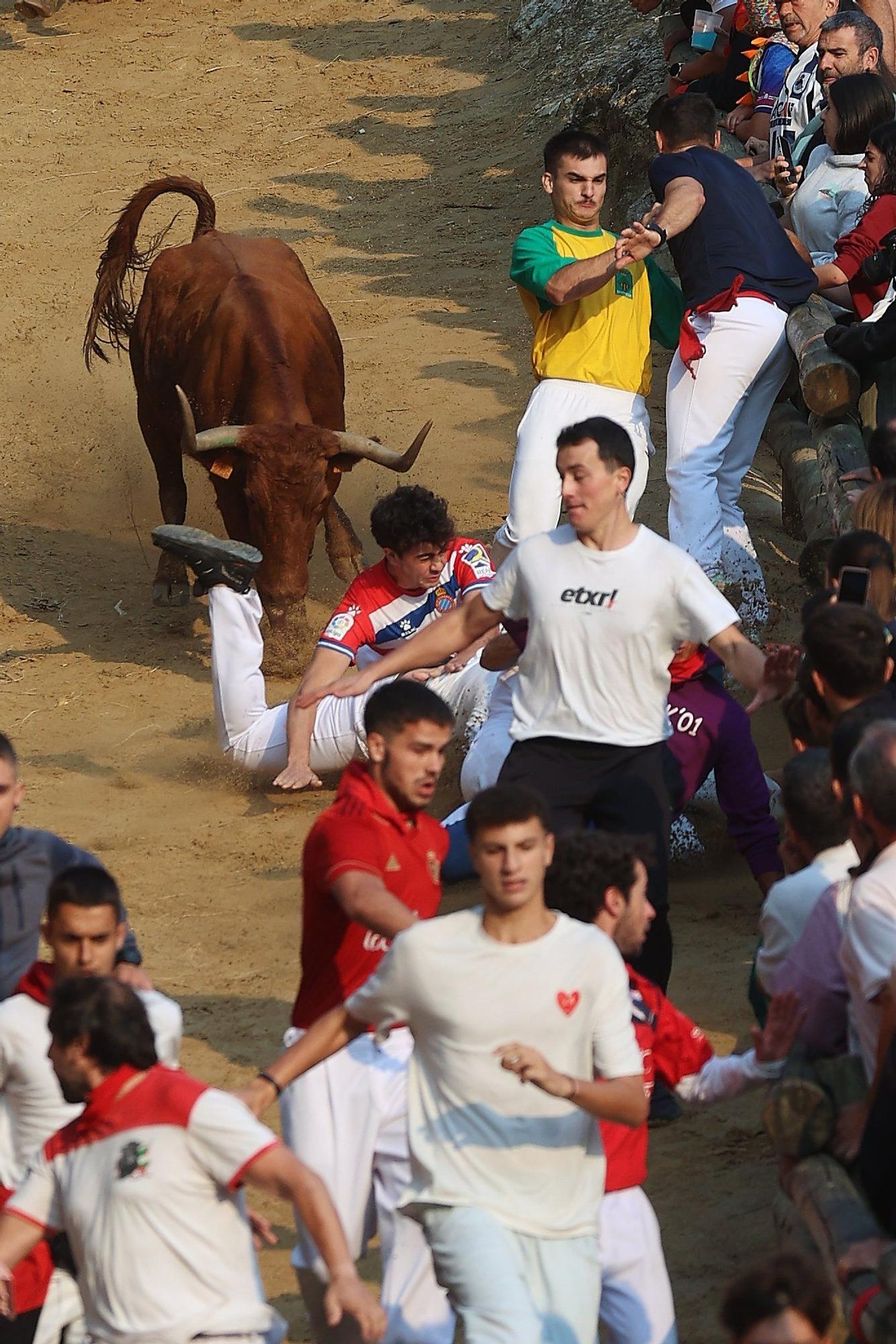 Fotos del cuarto encierro del Pilón de Falces 2025