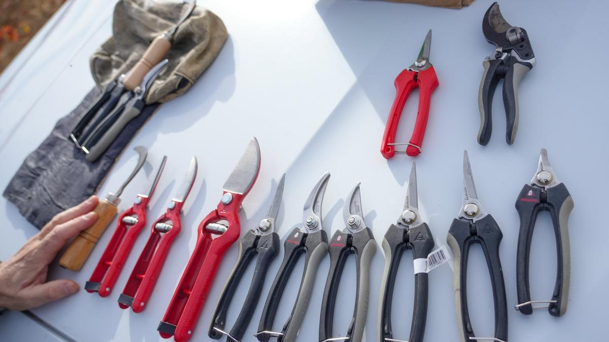 Tijeras de Bellota Herramientas