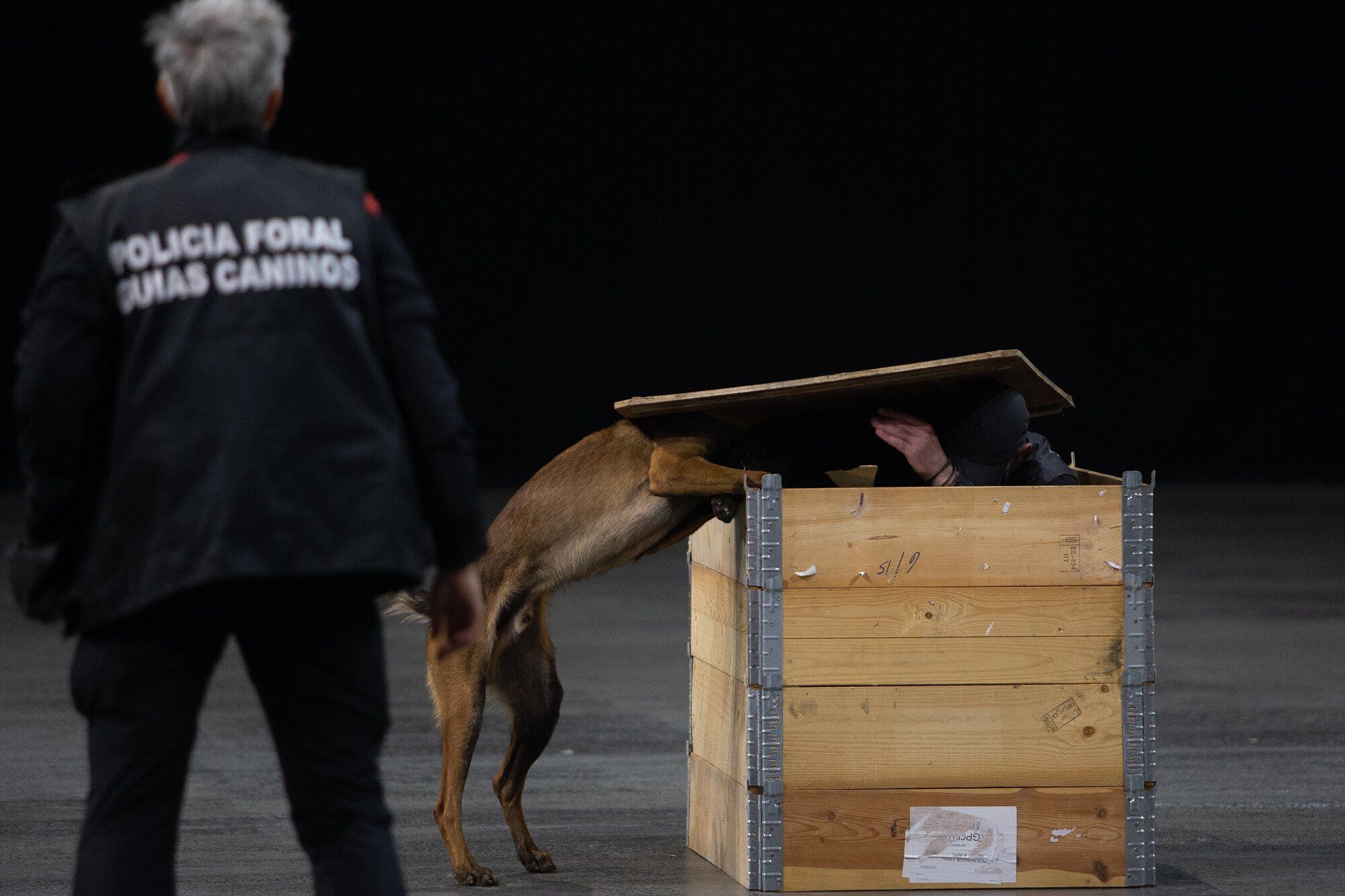 Exhibición de la Policía Foral en el Navarra Arena