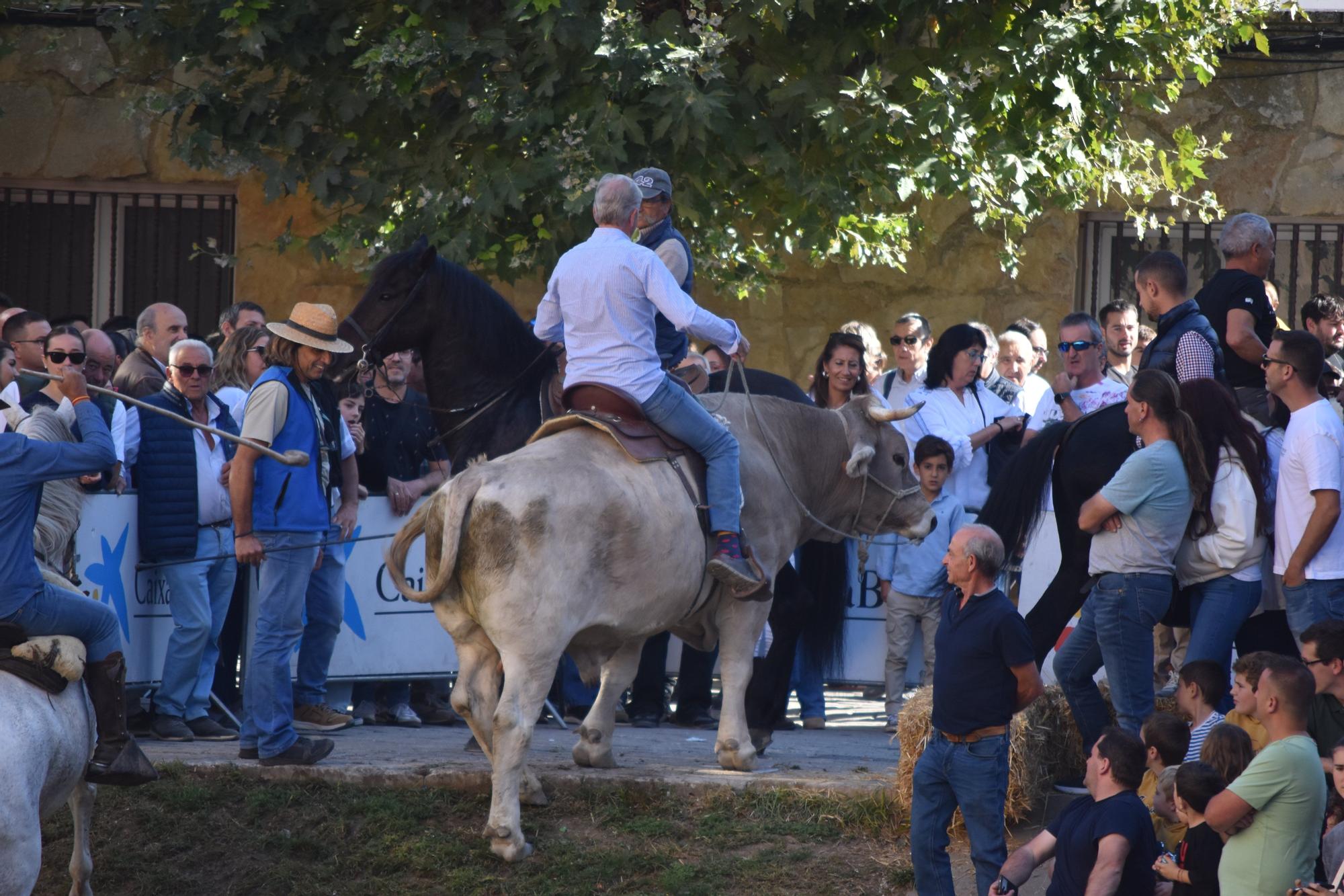 Fotos de las Ferias de Marcilla 2025
