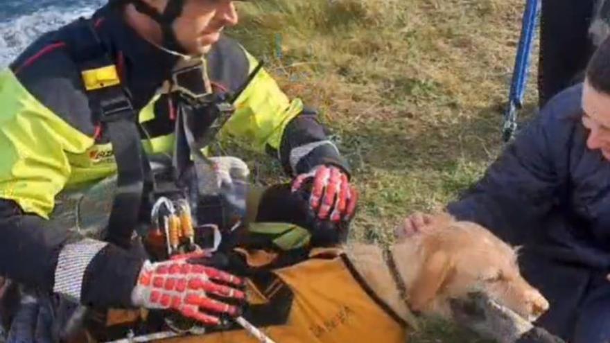 Rescatan a Kira, una perra caído por un acantilado de Muskiz