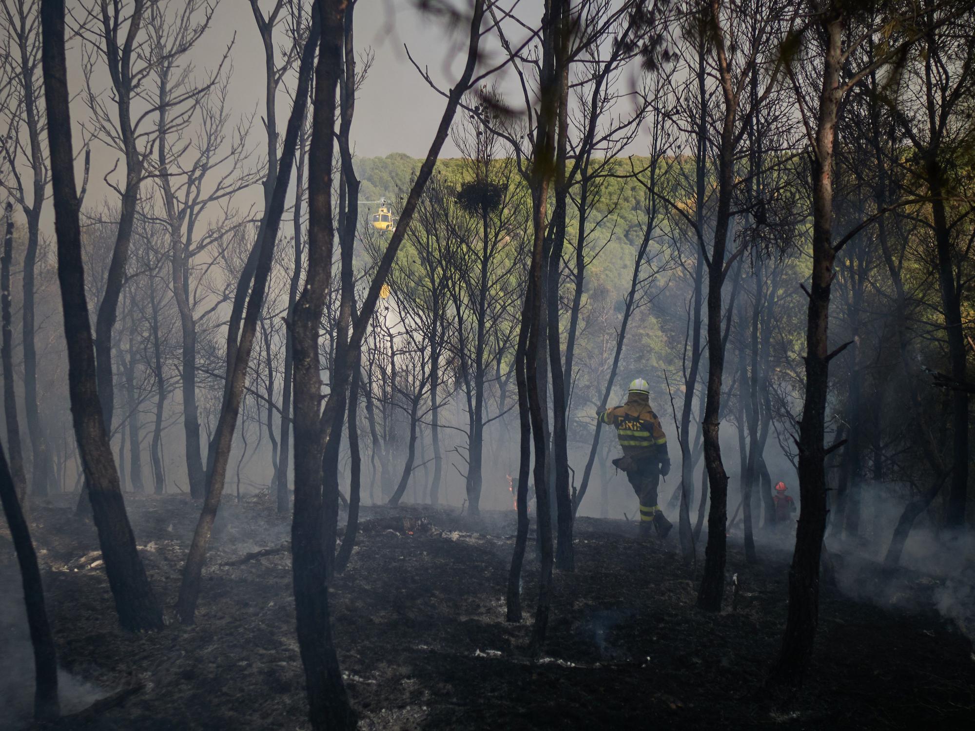 Bomberos continúan trabajos de extinción en Carcastillo
