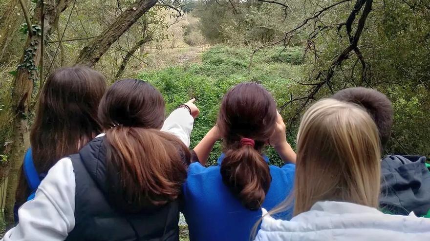 El aula ambiental está abierta todo el año, excepto agosto, para visitar exposiciones, la charca para tortugas, el oasis de mariposas....