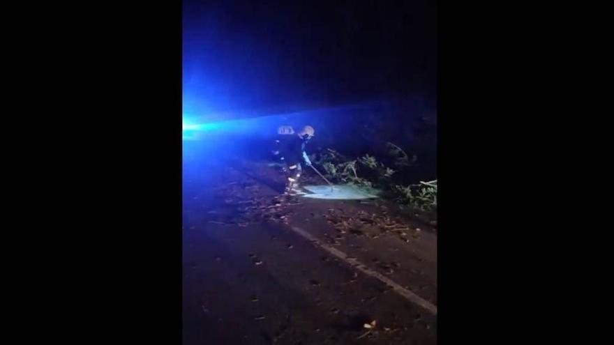 Más de 50 incidentes motivados por el viento en Navarra desde la tarde de este jueves