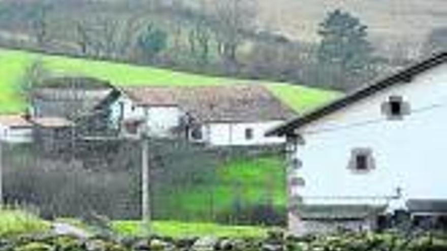Reforma del Código Penal para delitos  en el campo