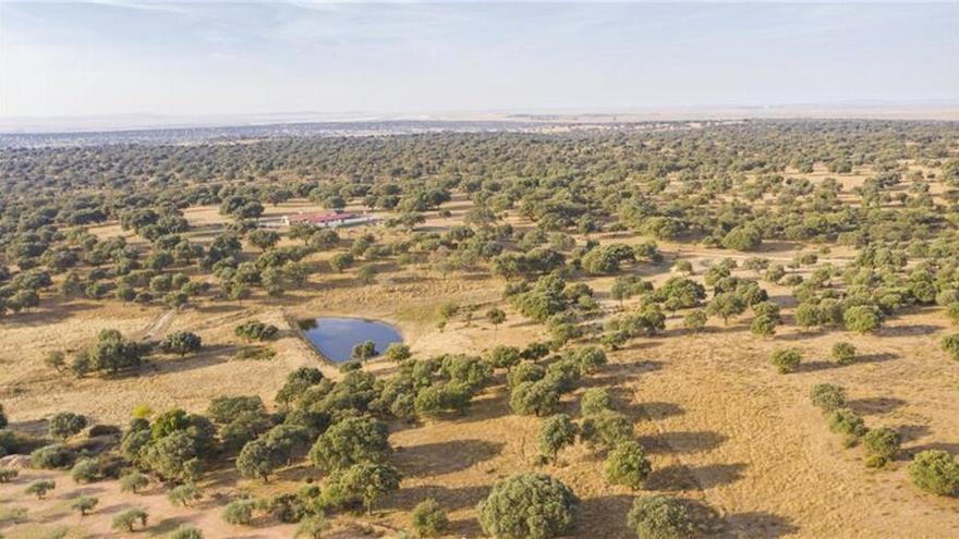 La recuperación natural de ecosistemas, un escudo contra la desertificación y la sequía