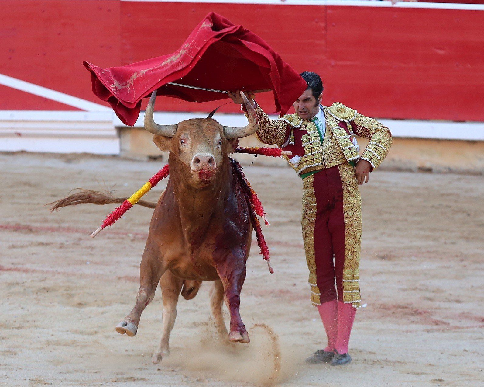 Fotos de la corrida de toros del día 9.
