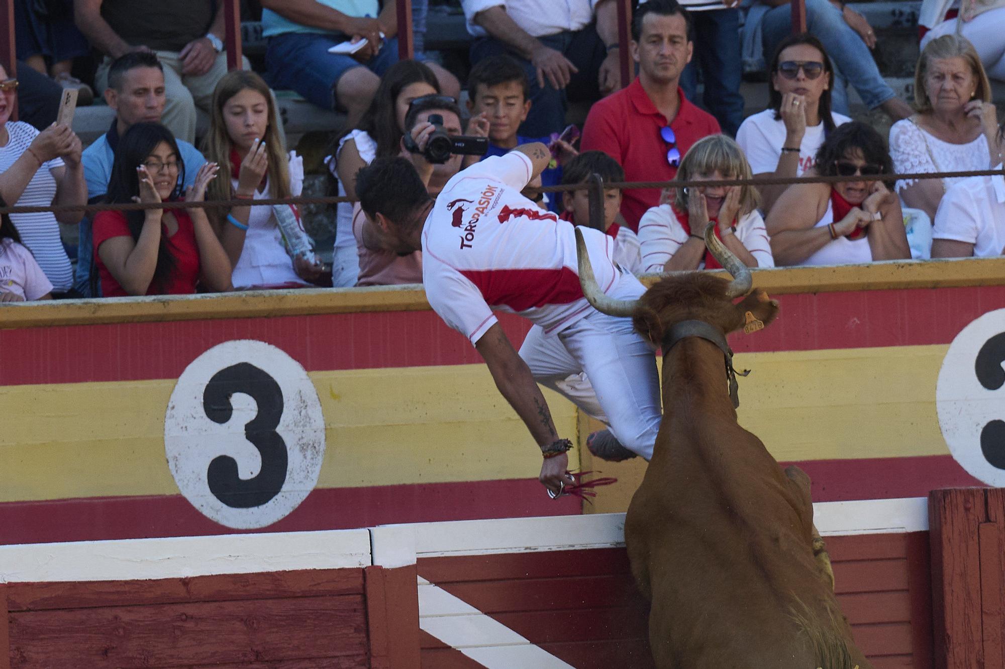 Concurso de recortadores con anillas