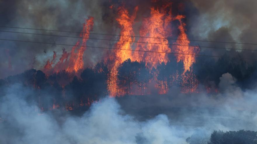 Un incendio forestal de gran magnitud arrasa el pinar de Óriz entre Imárcoain y Beriáin