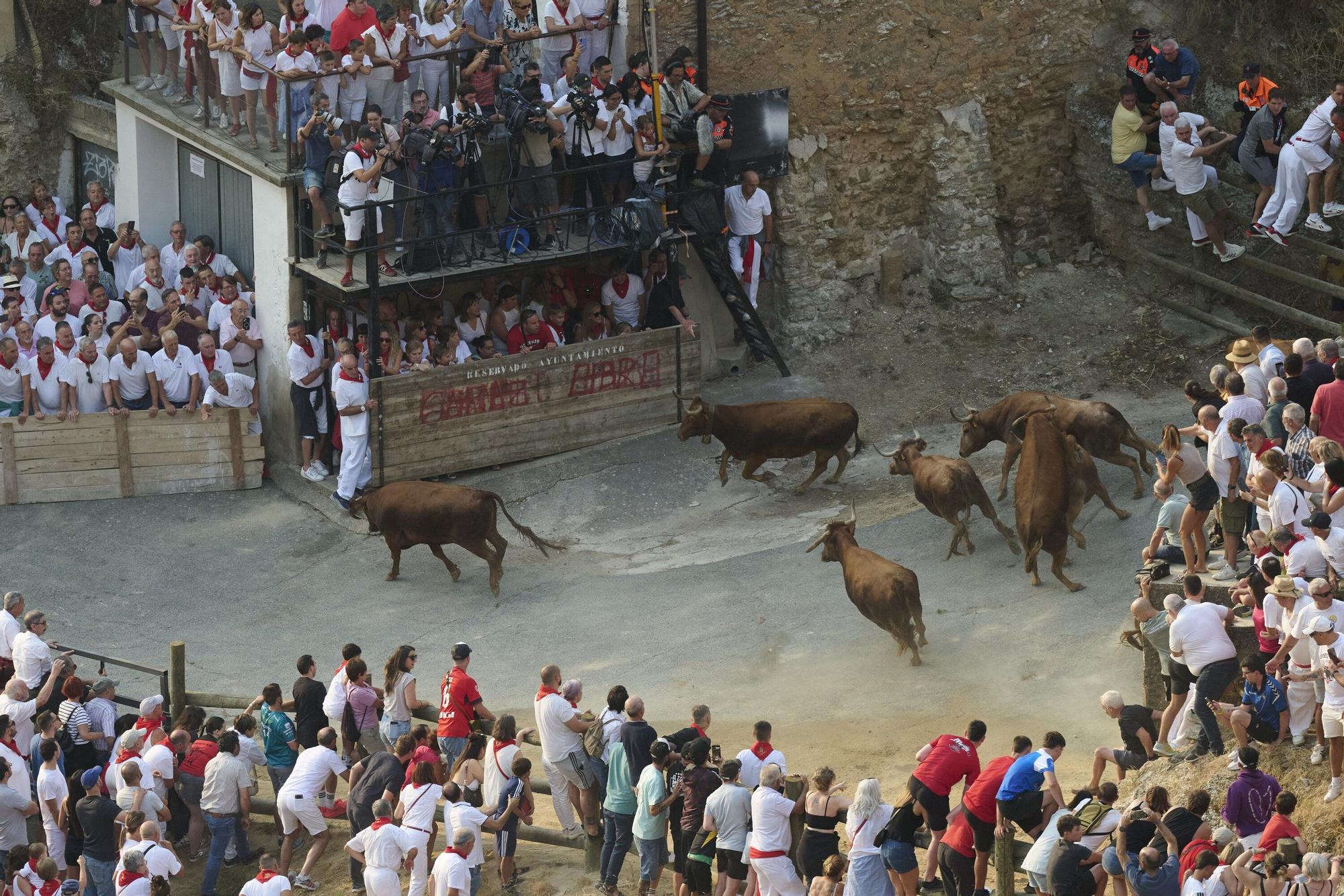 Fotos del primen encierro del Pilón en Falces 2025