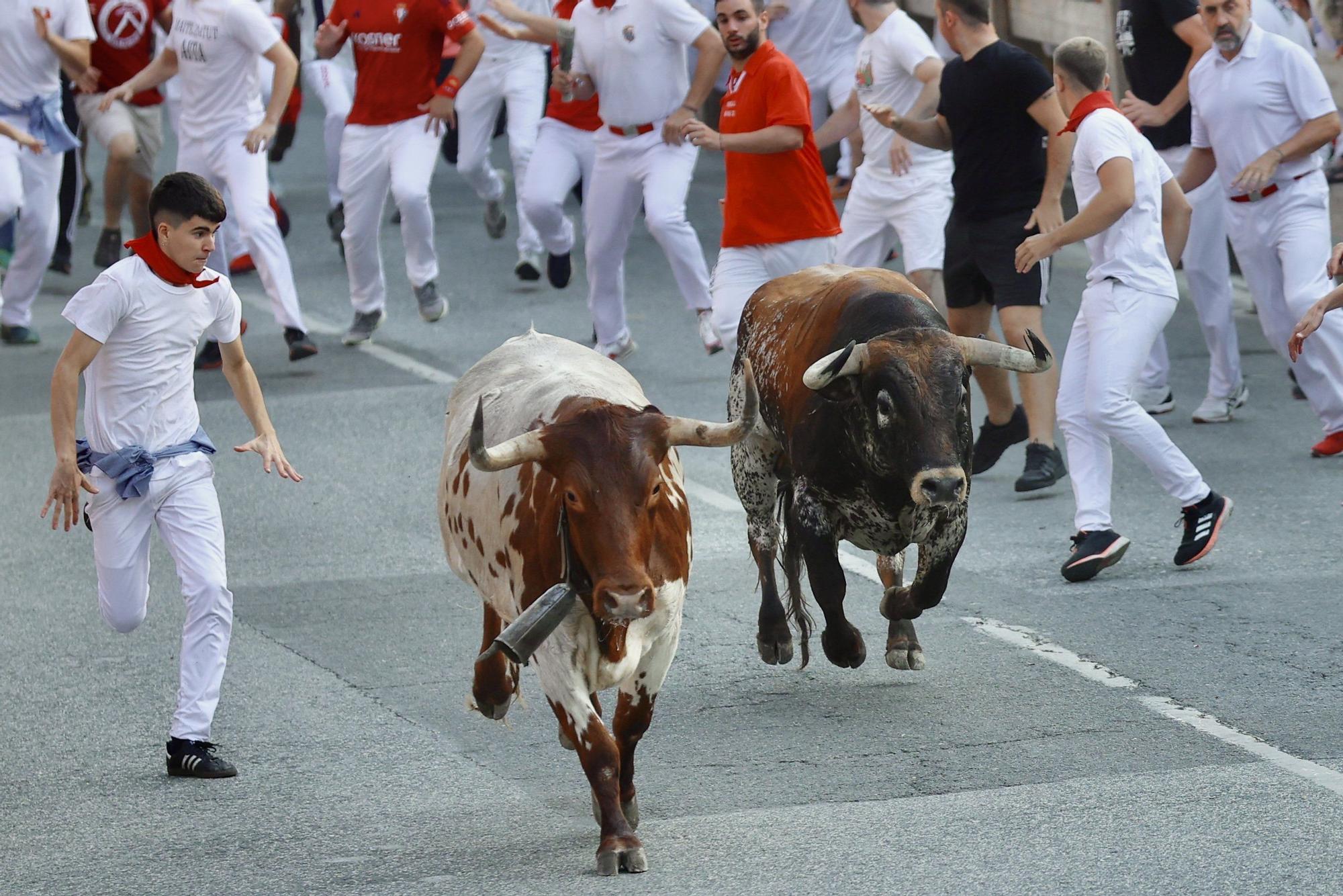 Fotos del tercer encierro de fiestas de Tafalla 2025