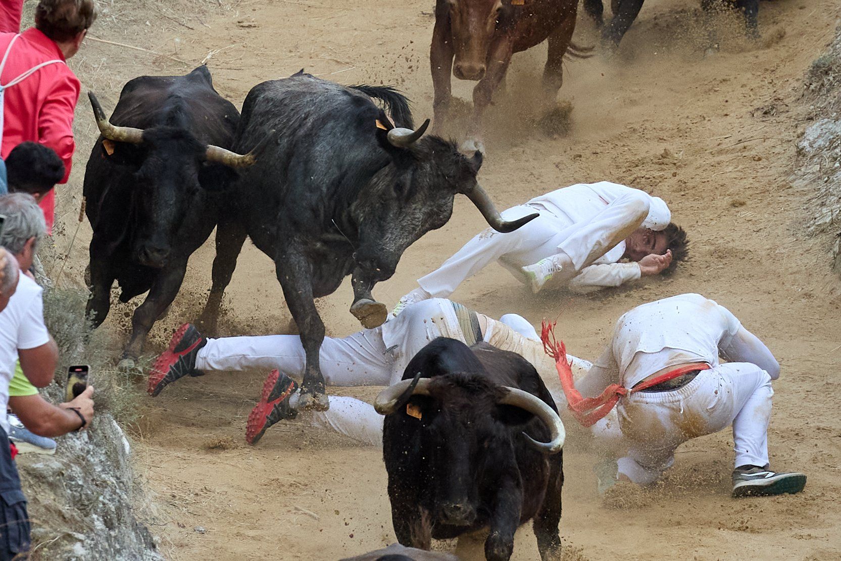 Fotos del tercer encierro del Pilón de Falces 2025