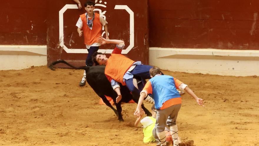 De las vaquillas al punk de Falerina, los escenarios se multiplican en La Blanca