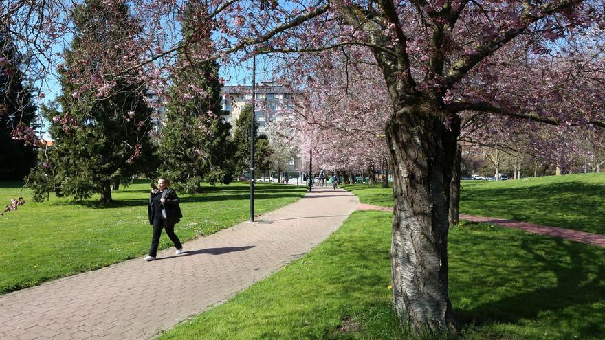 Navarra espera una primavera "más cálida de lo normal"