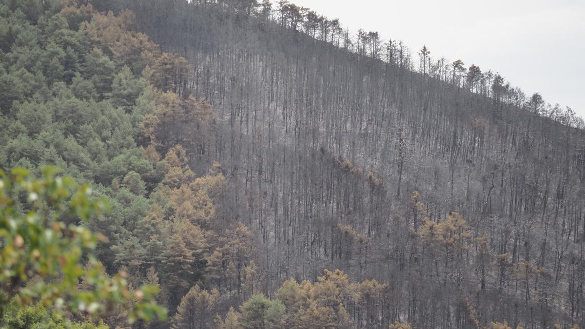 Fotos de las labores de extinción del incendio en Urraúl Alto, Urrulgaine
