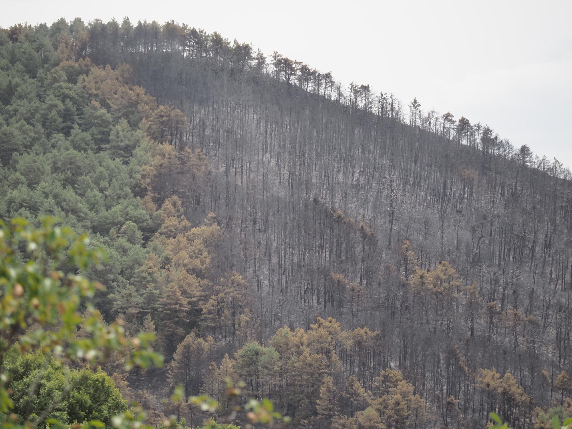 Fotos de las labores de extinción del incendio en Urraúl Alto, Urrulgaine